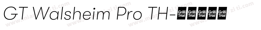 GT Walsheim Pro TH字体转换